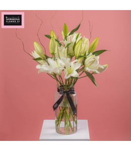 White Coast in Vase