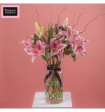Flamenco Beach in Vase