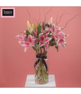 Flamenco Beach in Vase