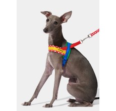 VETRESKA Chroma Pet Harness & Leash Set-Red (L)