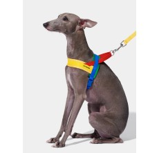 VETRESKA Chroma Pet Harness & Leash Set-Yellow (M)