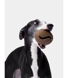 VETRESKA Coffee Pet Feeder Toy
