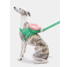 VETRESKA Flora Pet Backpack & Harness 3 in 1 Set (S)