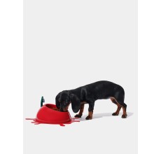 VETRESKA Juicy Cherry Pet Bowl, Spoon & Mat Set