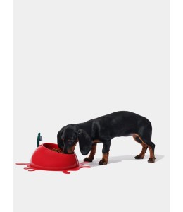VETRESKA Juicy Cherry Pet Bowl, Spoon & Mat Set