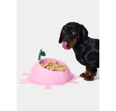 VETRESKA Juicy Peach Pet Bowl, Spoon & Mat Set