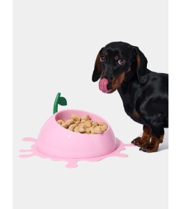 VETRESKA Juicy Peach Pet Bowl, Spoon & Mat Set