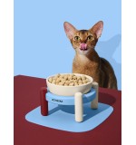 VETRESKA Mist and Merlot Pet Bowl & Mat Set (S)