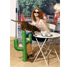 VETRESKA Oasis Cactus Cat Tree 31"