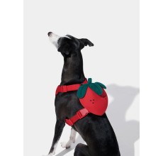 VETRESKA Strawberry Pet Backpack, Harness & Leash Set (S)