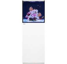 WaterBox Platinum  PRO 170.4/5+ Cabinet- L 140CM X W 65CM X W 60CM-WHITE