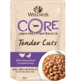 Wellness Core Tender Cuts Turkey with Duck Adult Cat 85g