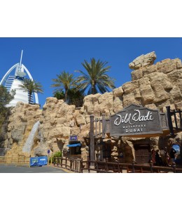 Wild Wadi Single Entry