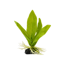 Yusee Aquarium Decorations - Artificial Plant YM-5808 [Height:4"]