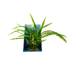 Yusee Aquarium Decorations - Artificial Plant YS-60507 [Height:20cm]