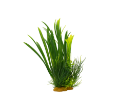 Yusee Aquarium Decorations - Artificial Plant YS-70106-8 [Height:8"]