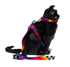 Zee.Cat Prisma Harness & Leash Set