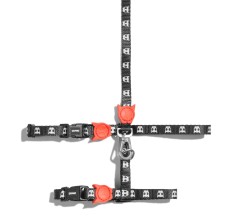 Zee.Cat Skull 2.0 Harness & Leash Set