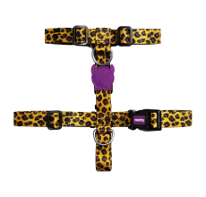 Zee.Dog Honey H-Harness Large