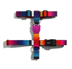 Zee.Dog Skull 2.0 H-Harness Medium