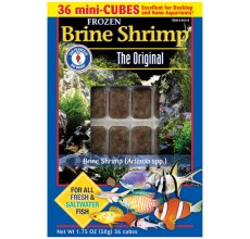 San Fransisco Bay Brand Brine Shrimp Frozen Cube 50g Frozen Fish Food