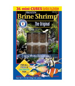 San Fransisco Bay Brand Brine Shrimp Frozen Cube 50g Frozen Fish Food
