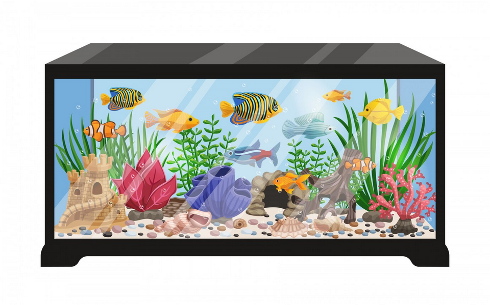 Fish Tanks