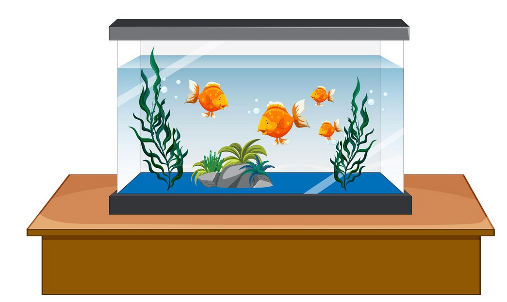 Marine Aquarium