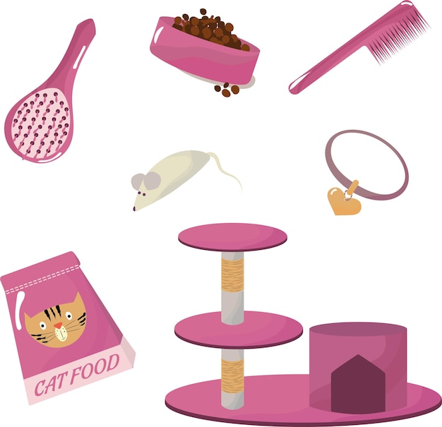 Cat Accessories