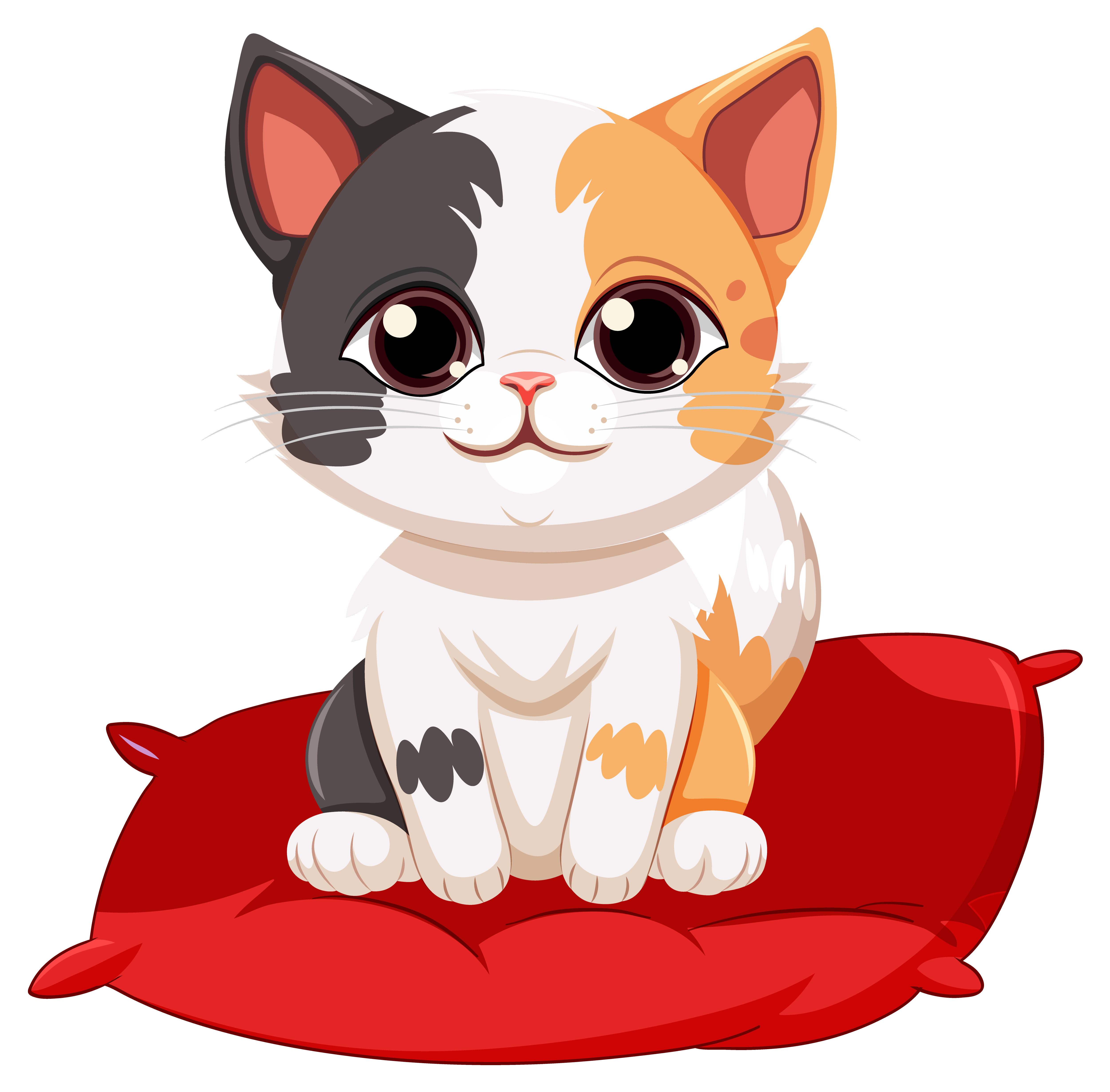 Cat Beds