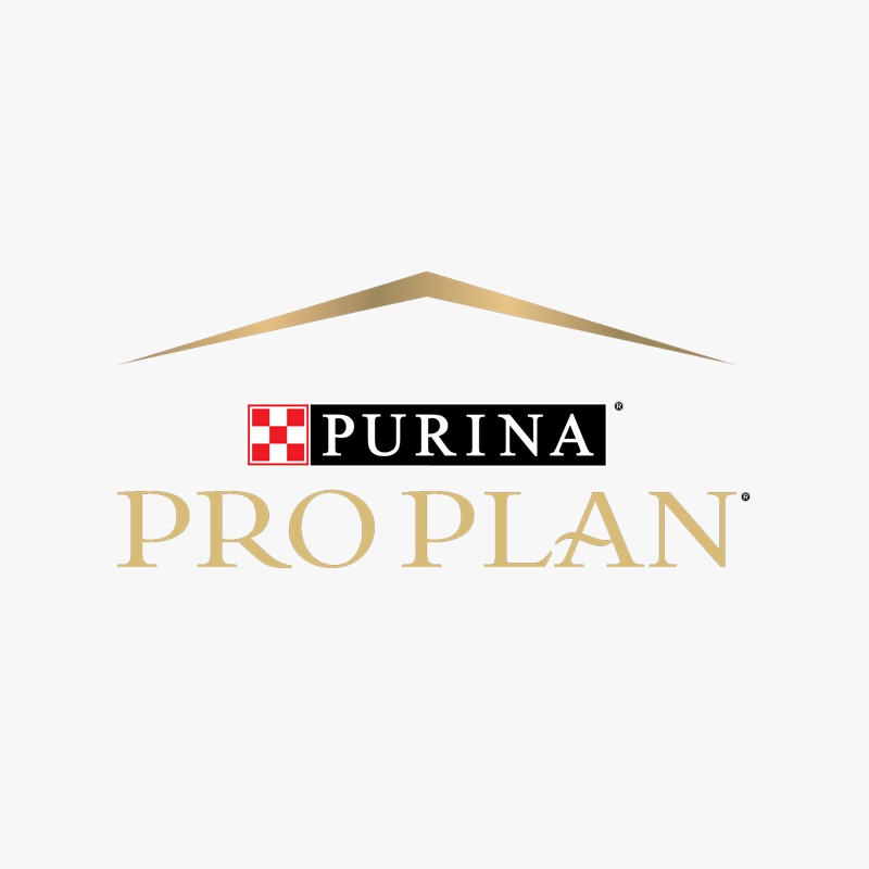 Pro Plan