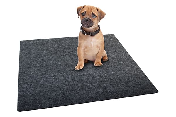 Drymate Washable Potty Mats for Dogs HEAVY DUTY CHARCOAL 28 x 29.5inch - 71 Cms X 75 Cms