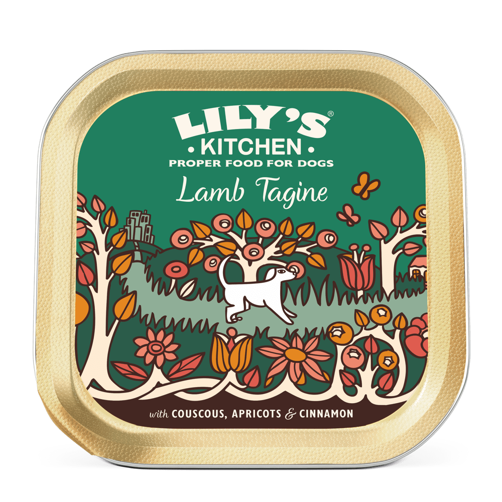 Lily's Kitchen Dog Tagine LAMB (150g)