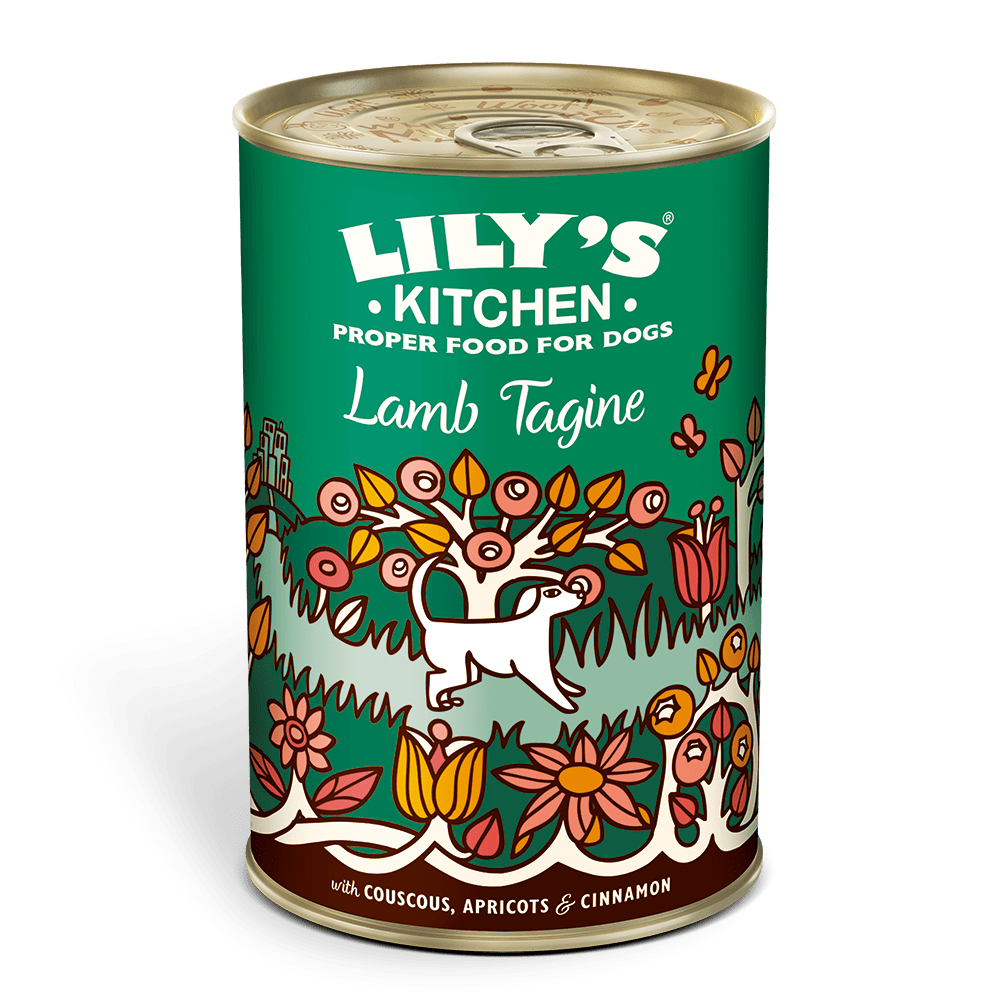 Lily's Kitchen Dog Tagine LAMB (400g)