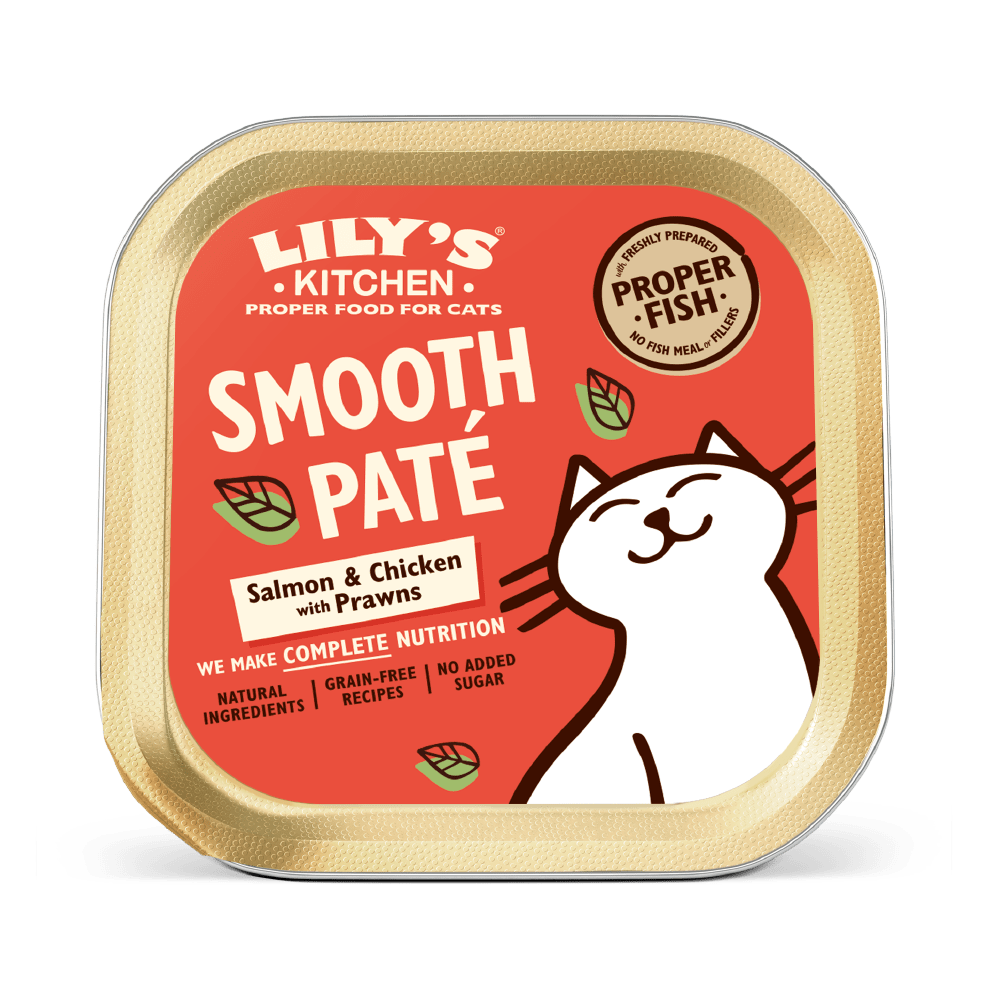 Lily's Kitchen Salmon & Chicken Paté Wet Cat Food (85g)