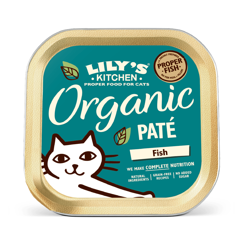 Lily's Kitchen Organic Fish Dinner Wet Cat Food (85g)