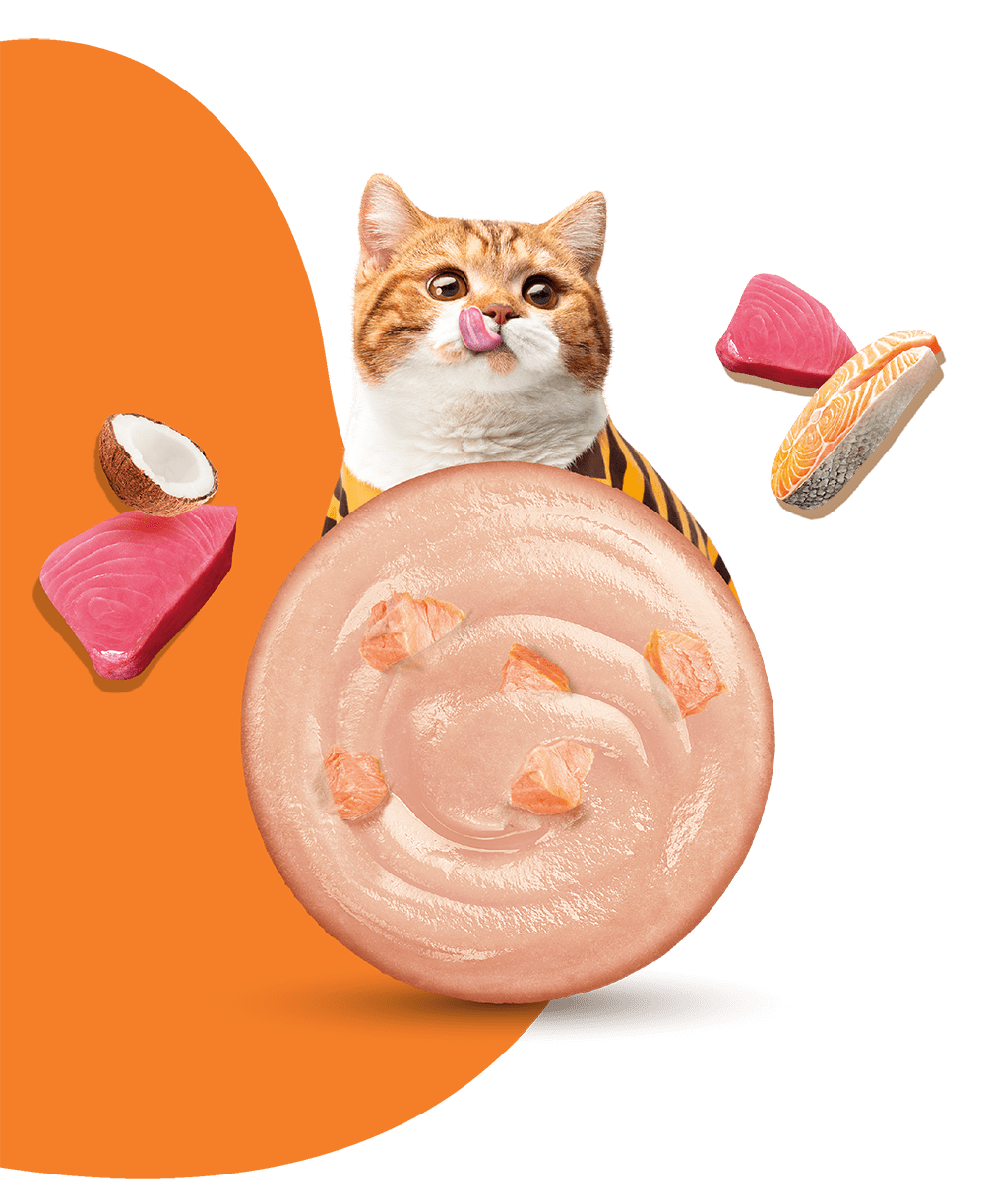 Moochie Cat Food Tuna Mousse with Salmon Pouch 70g