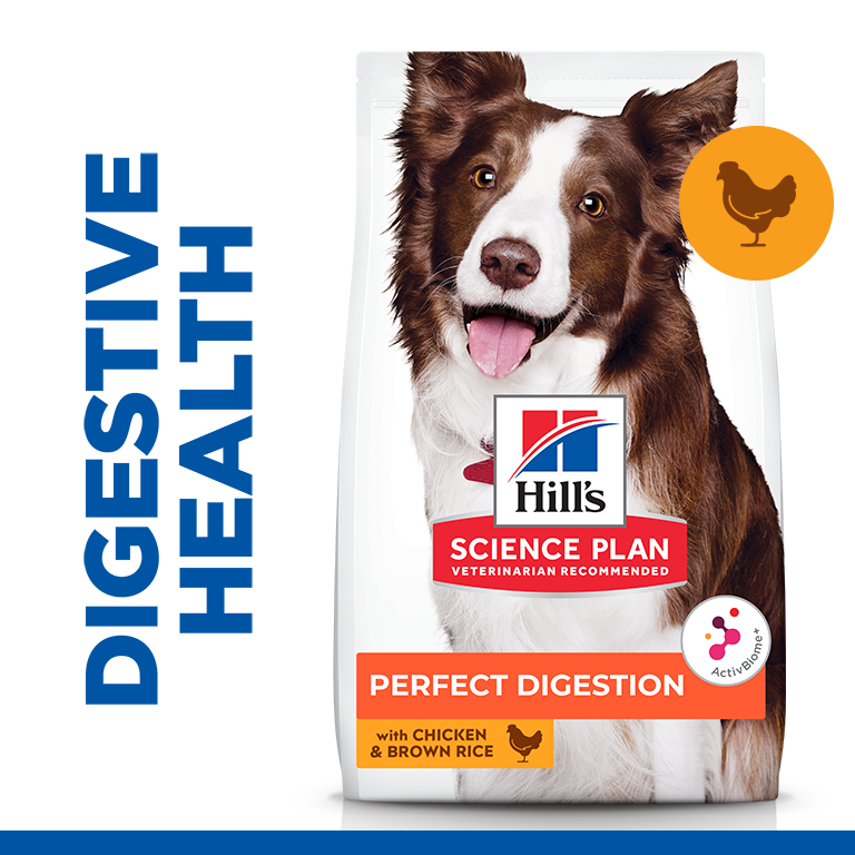 Hill’s Science Plan Perfect Digestion Medium Adult 1+ Dog Food with Chicken and Brown Rice - 2.5kg