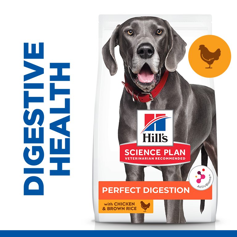 Hill’s Science Plan Perfect Digestion Large Adult 1+ Dog Food with Chicken and Brown Rice - 14kg