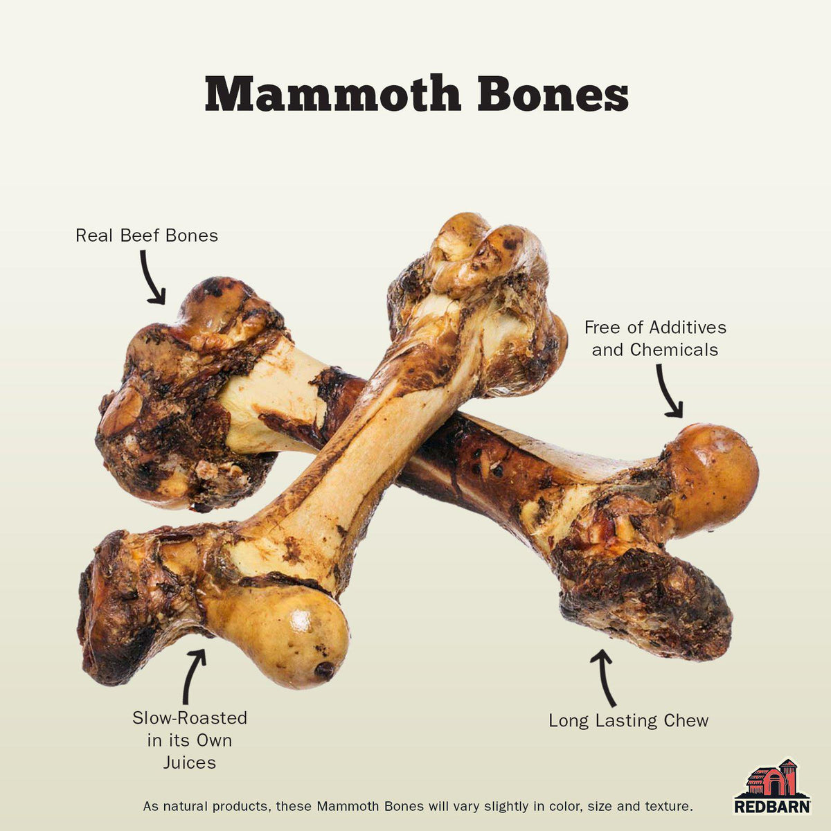 RedBarn Mammoth Bone