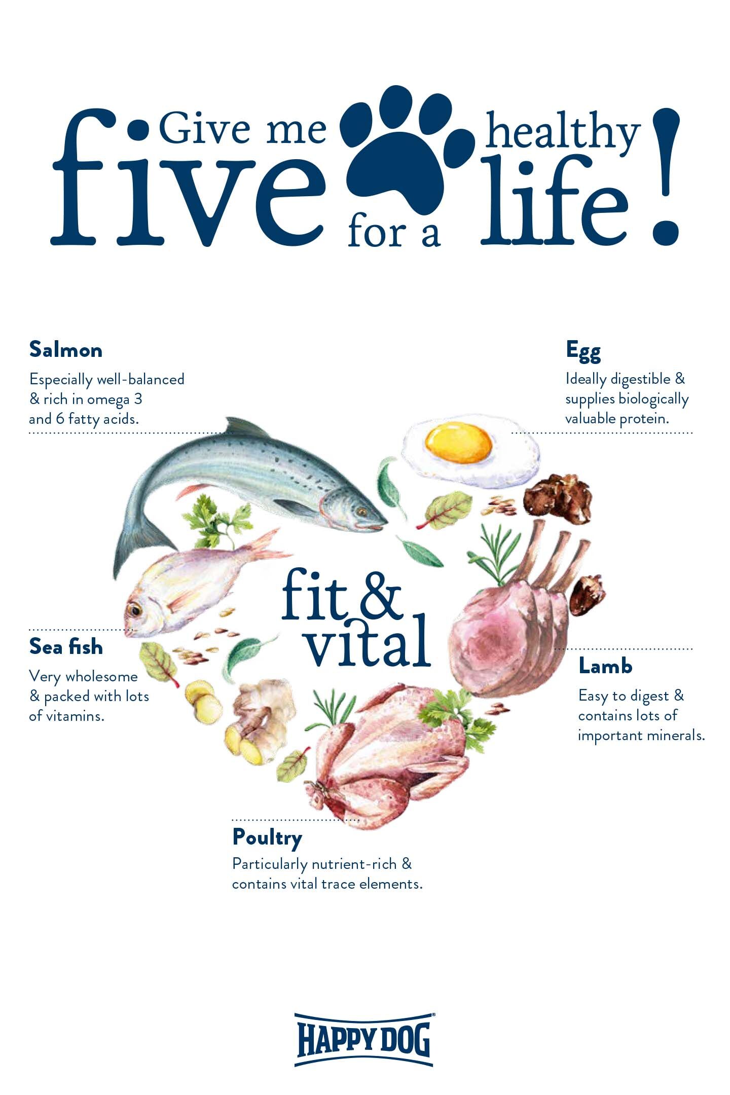 Happy Dog Fit & Vital Maxi Adult Weight - 4kg