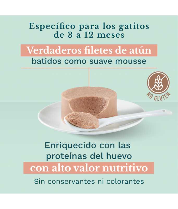 Schesir Kitten Mousse 3-12 Tuna Wet Food 85g can