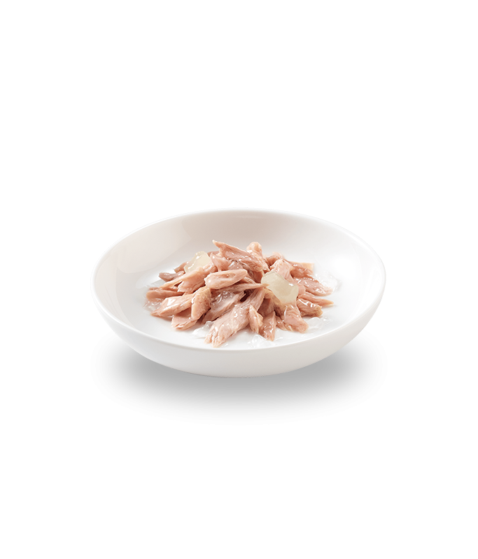 Schesir Cat Kitten Tuna With Aloe 140g can