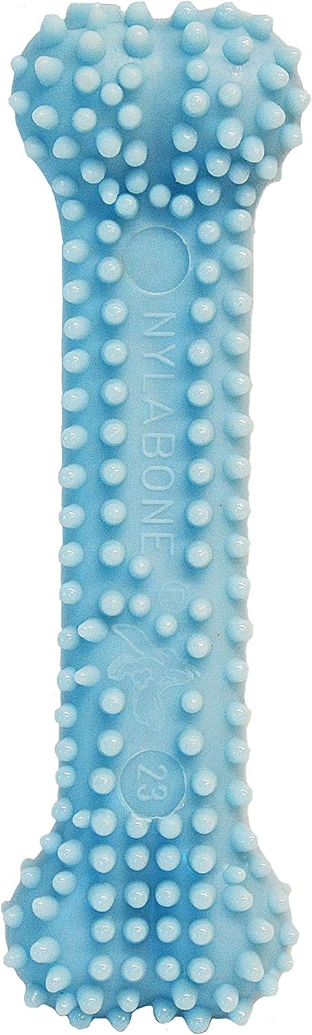 Nylabone Puppy Chew Blue Dental Bone, Chicken Petite Nylon Chews