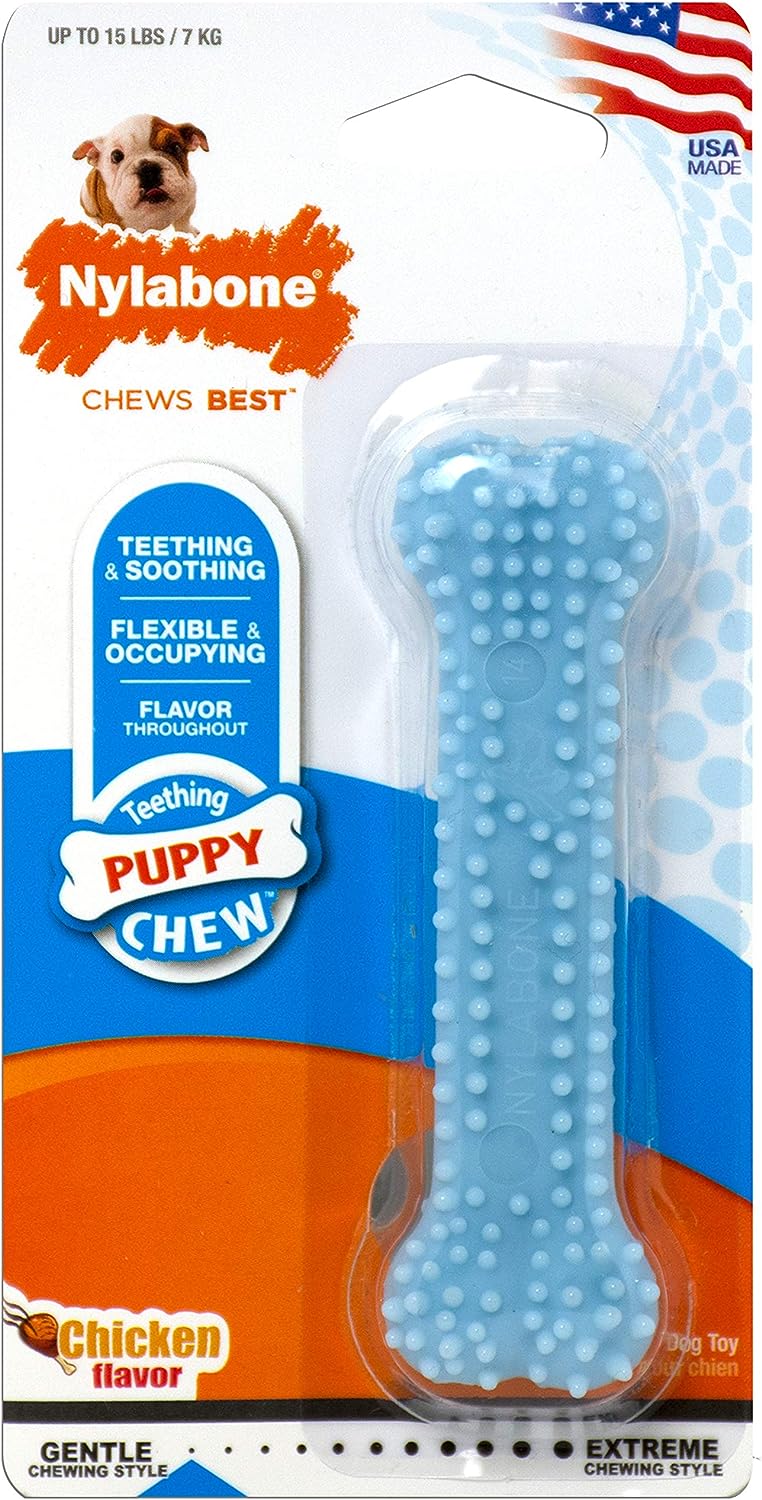 Nylabone Puppy Chew Blue Dental Bone, Chicken Petite Nylon Chews