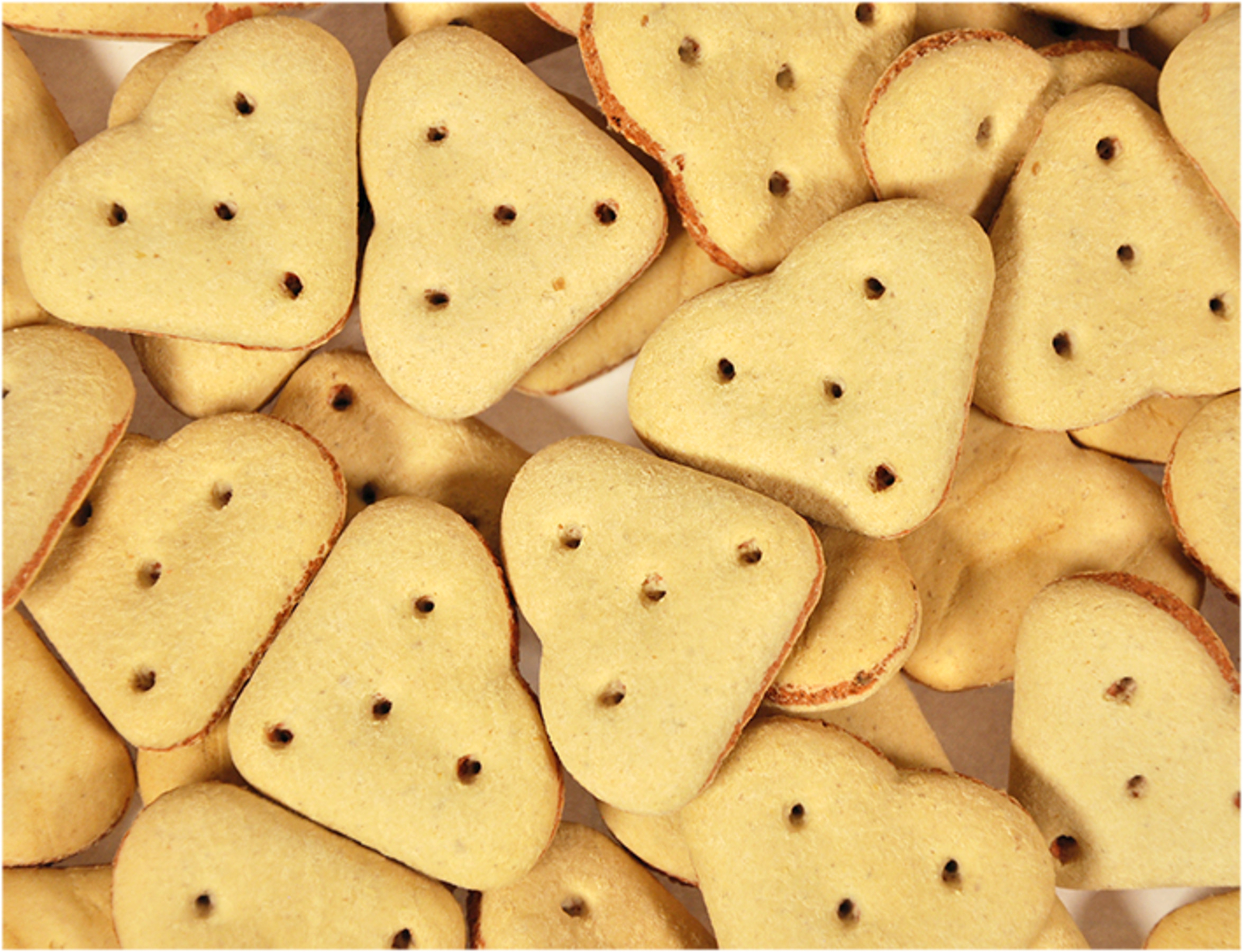 Vadigran Snack dog Biscuits Duo Hearts 500g