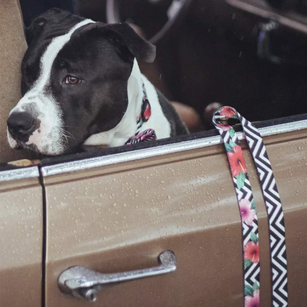 Zee Dog Mahalo Dog Leash Extra Small