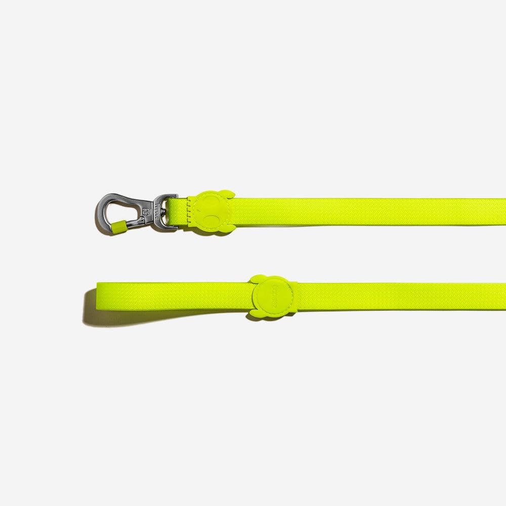 Zee Dog Neopro Green Lease Small