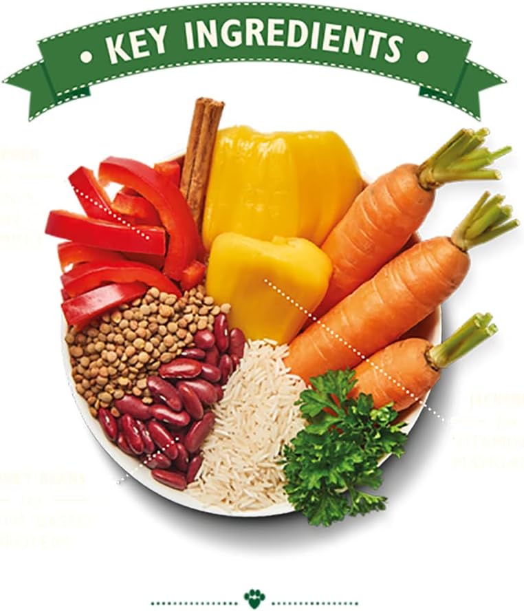 Lily's Kitchen Mighty Burrito Bowl Adult Wet Dog Food (400g)