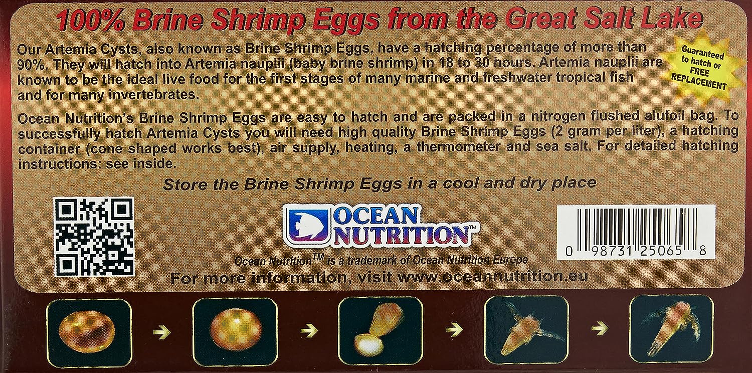 Brine Shrimp Eggs 20g